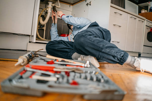 Best Local Plumber Services  in Mascotte, FL